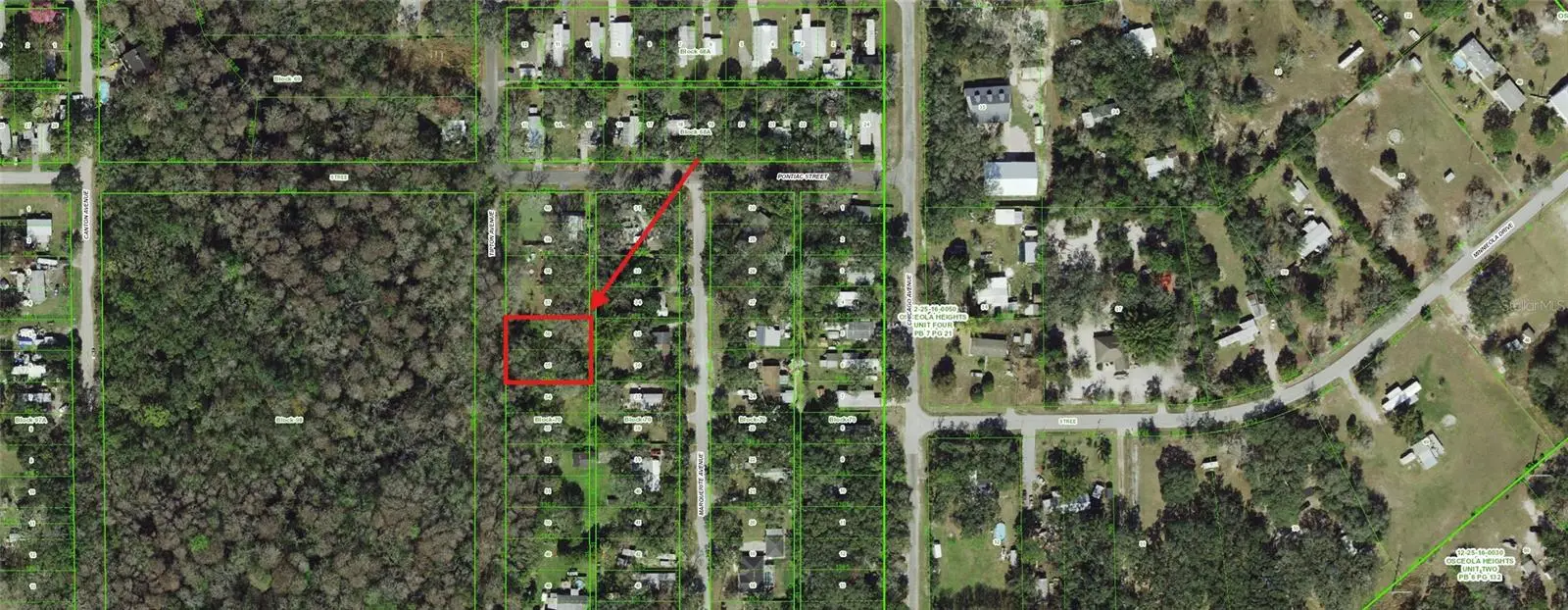 55 Marquerite Avenue, FL