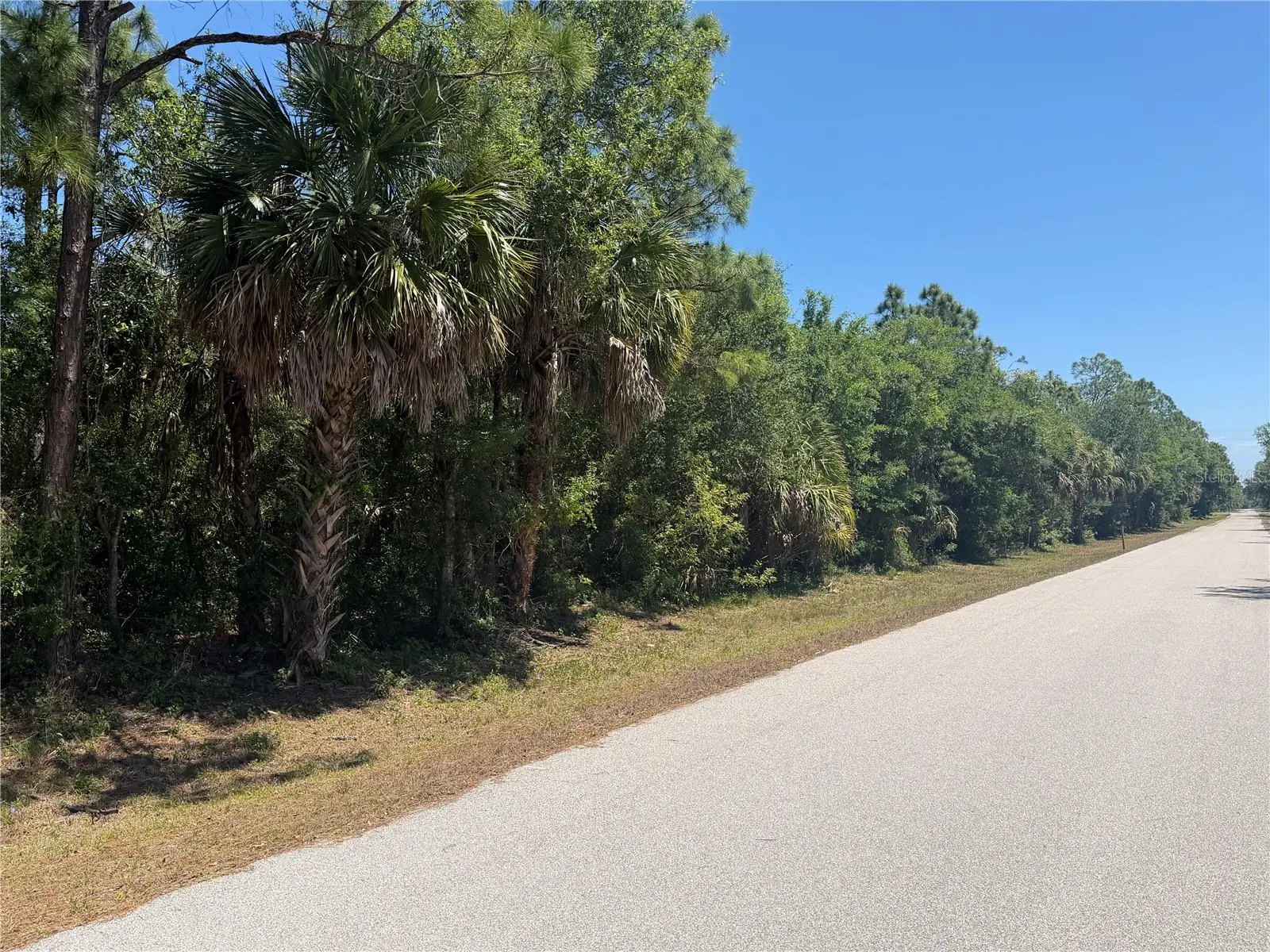 26180 Hapsburg Road, FL