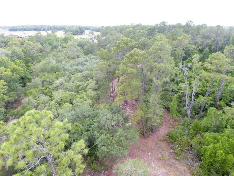 155 Snake Hill Road, FL