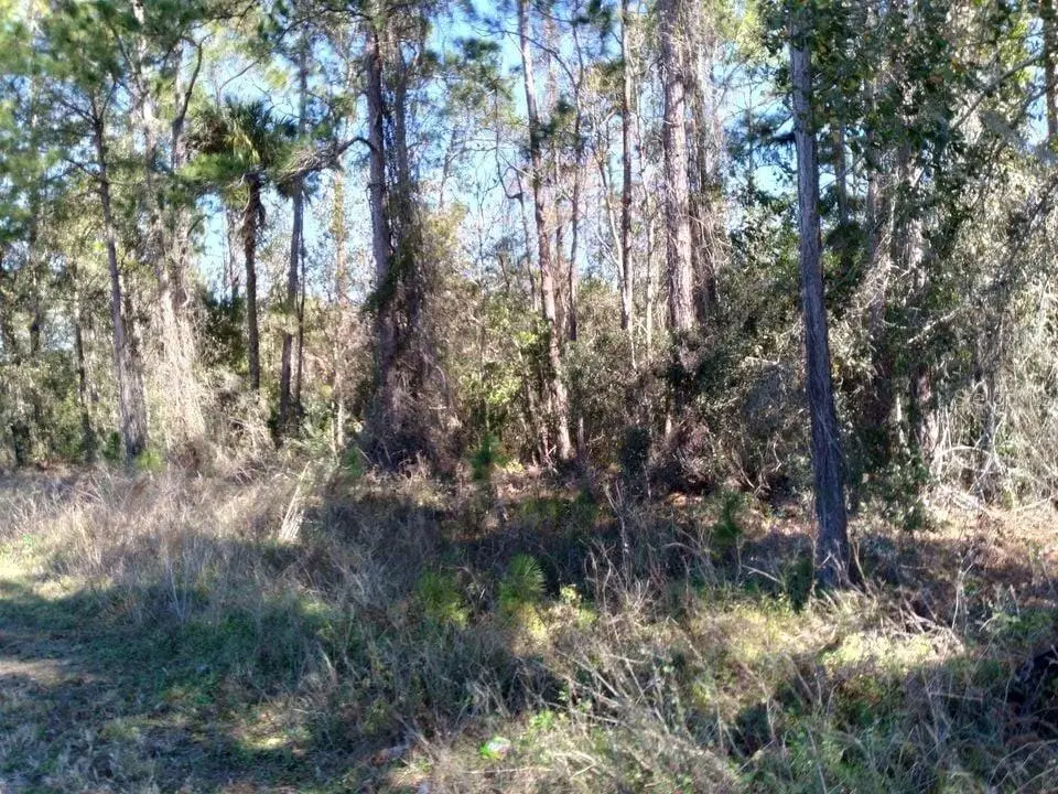 Poyner Road, FL