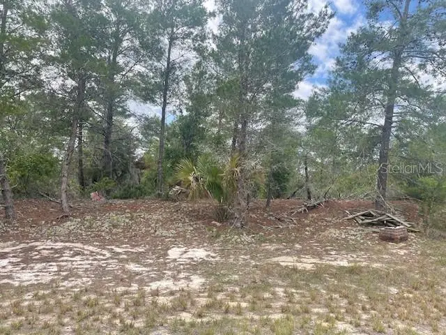 1342 Homosassa Drive, FL