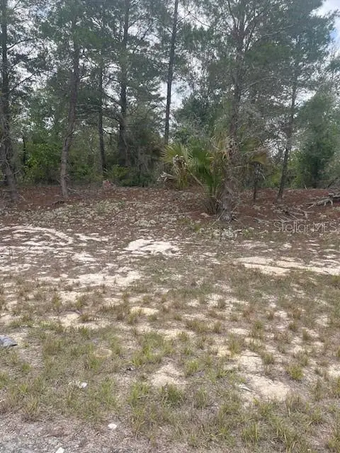 1342 Homosassa Drive, FL