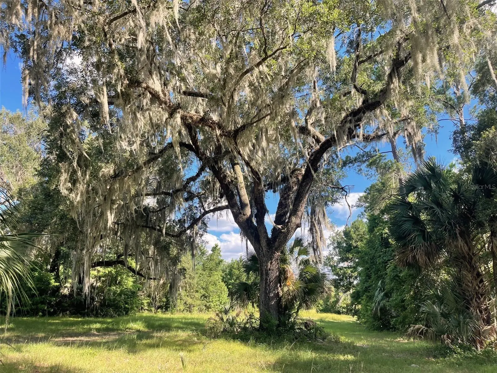 11804 County Road 234, FL
