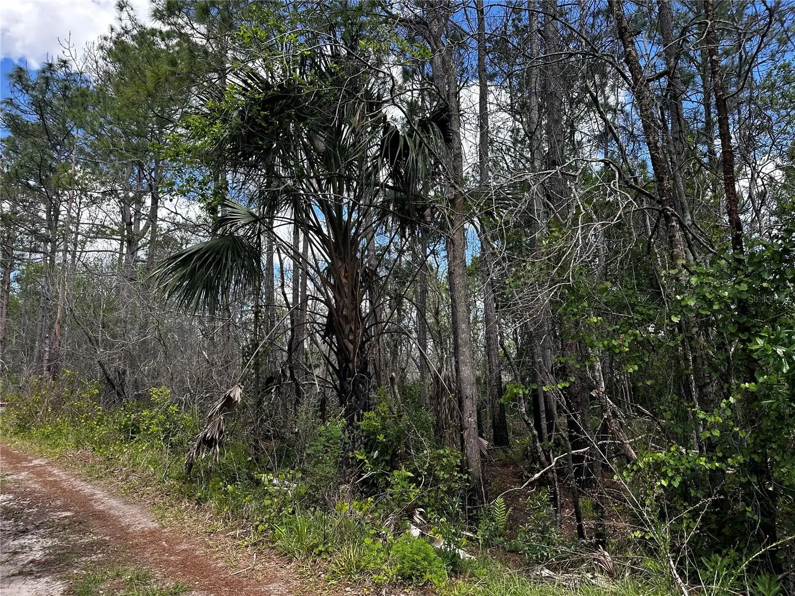 00 Kola Road, FL