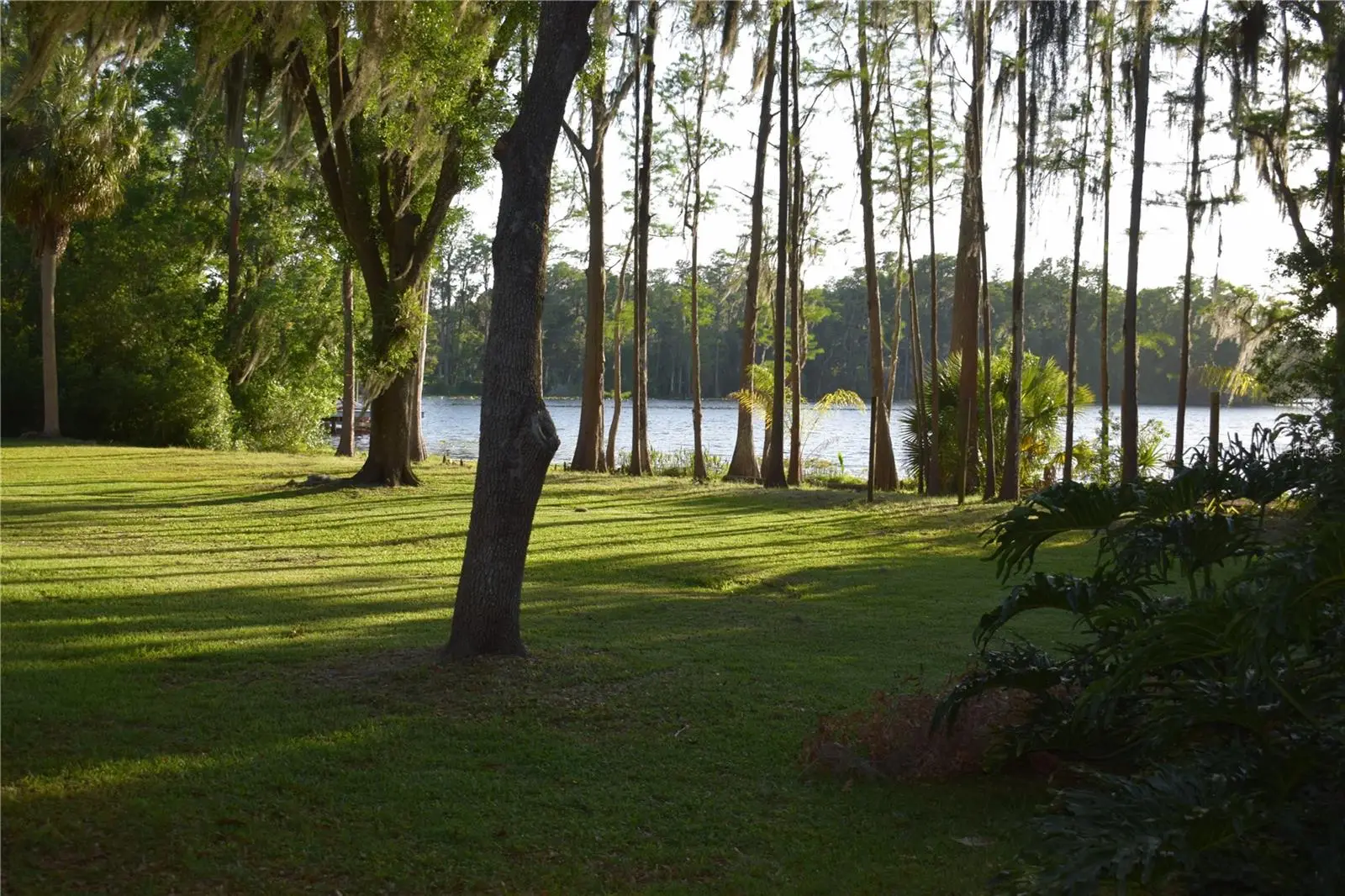 16308 Rock Lake Drive, FL