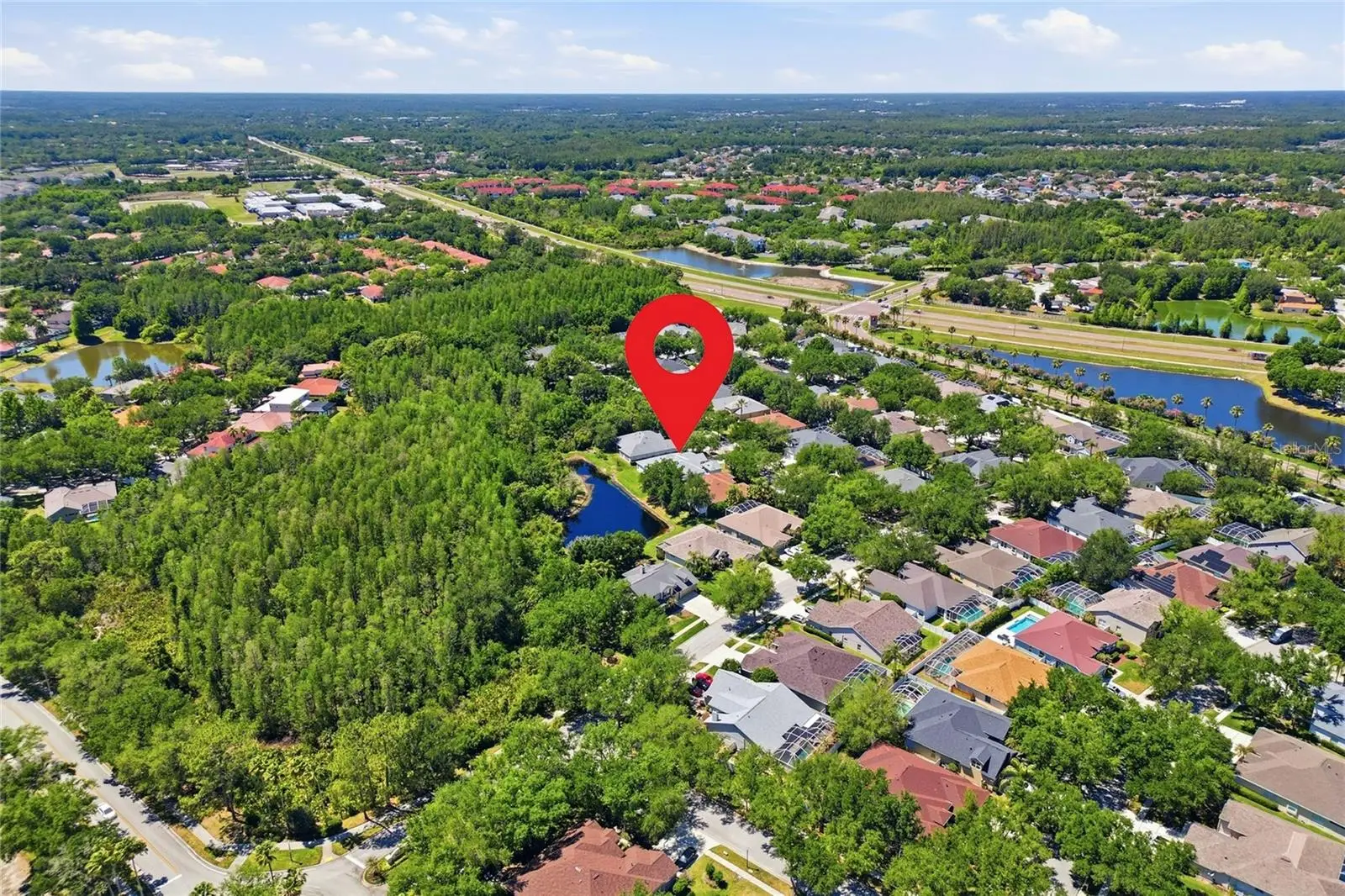 10206 Shadow Branch Drive, FL