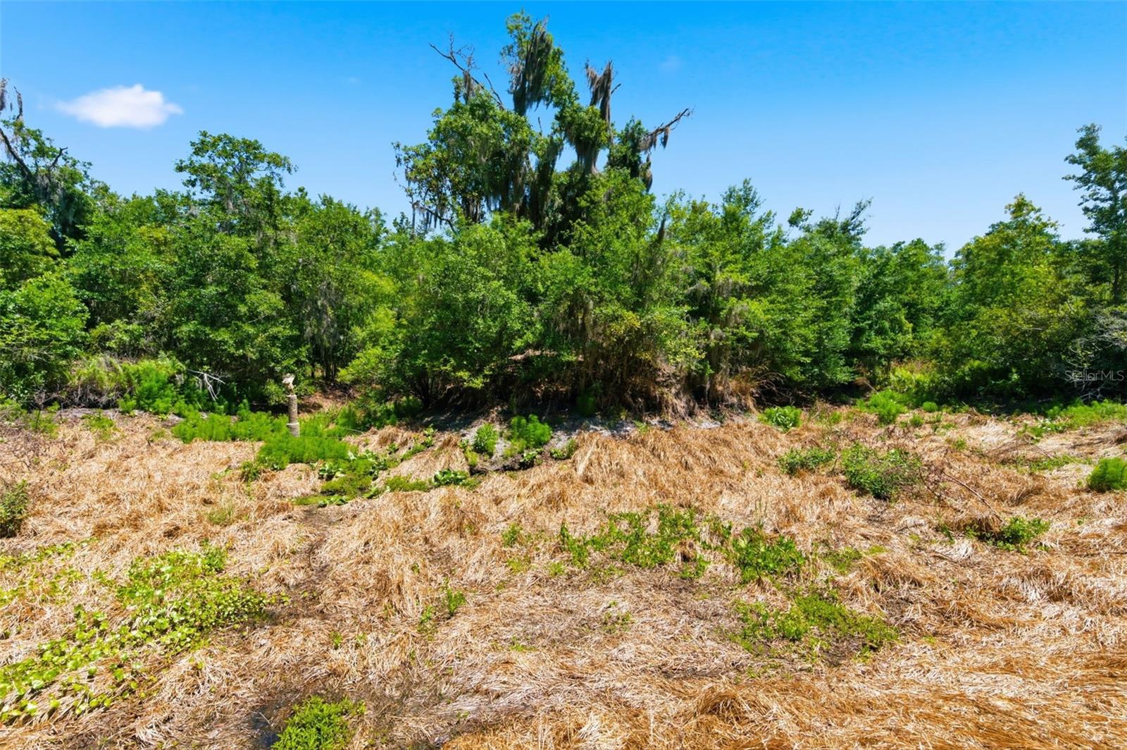 19084 Red Bird Lane, FL