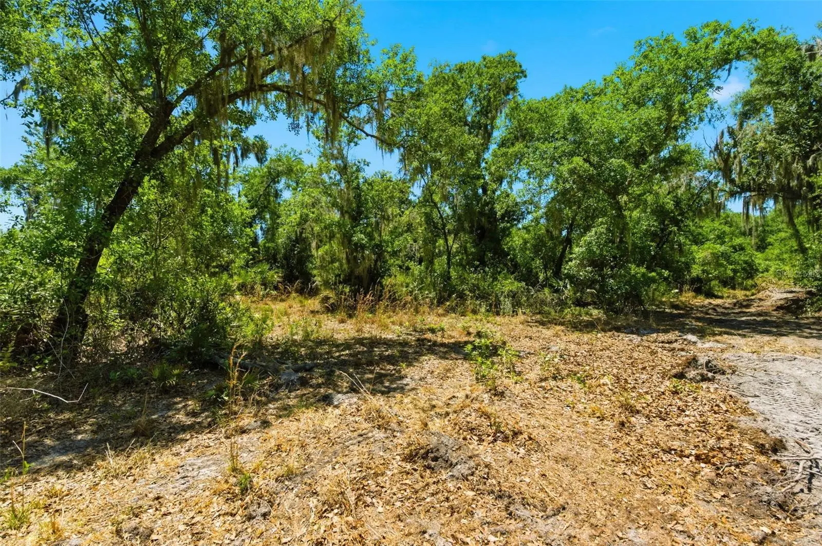 19084 Red Bird Lane, FL