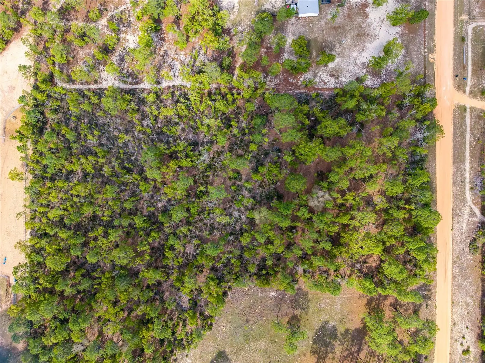 230 Melrose Landing Drive, FL