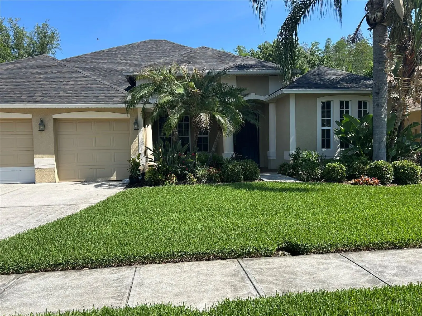 26612 Shoregrass Drive, FL