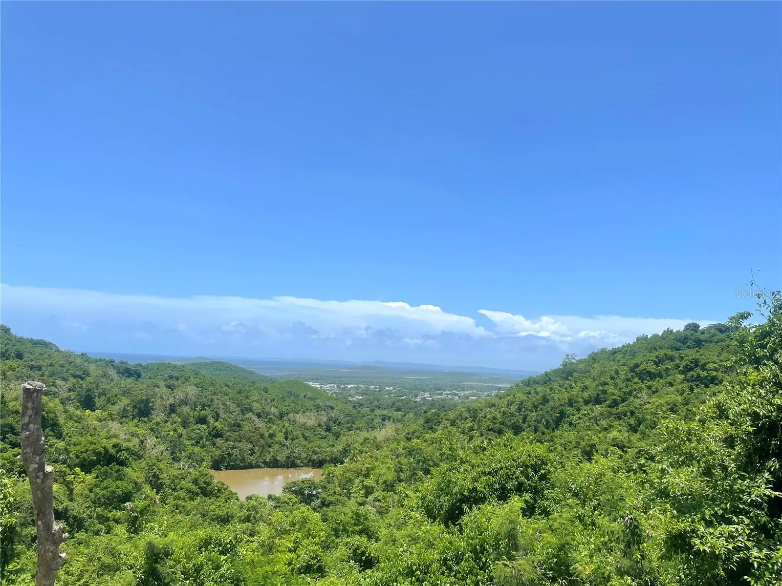 981, PR
