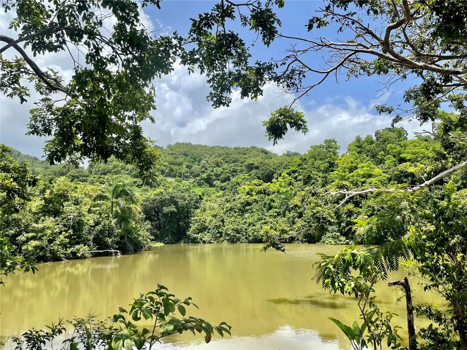981, PR