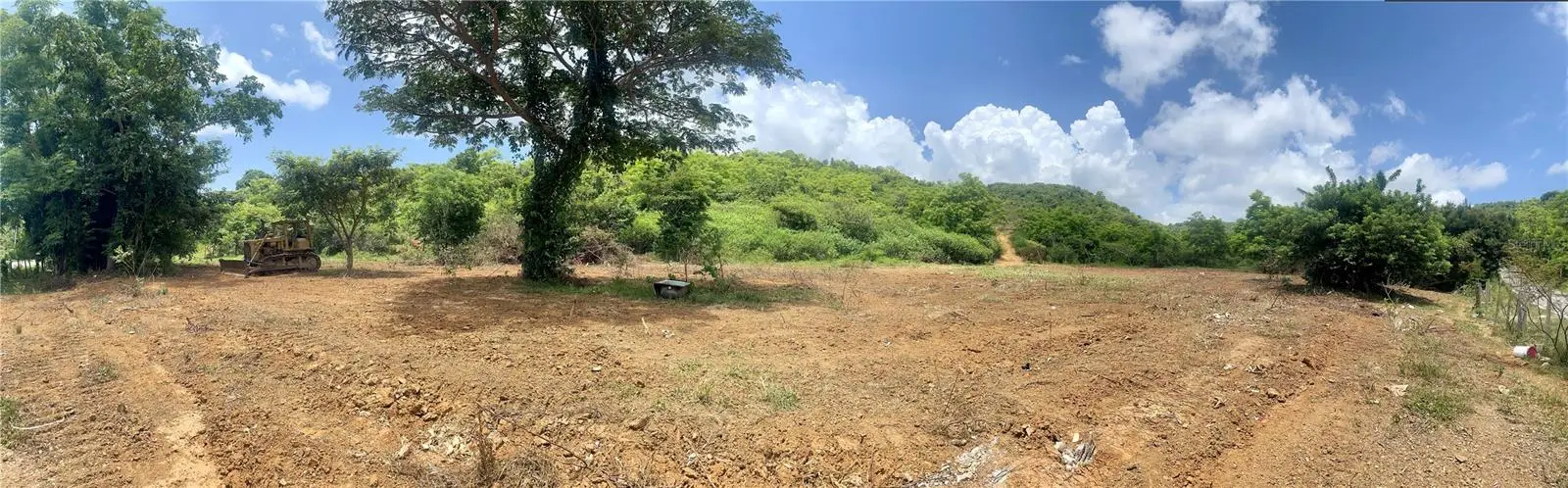 981, PR