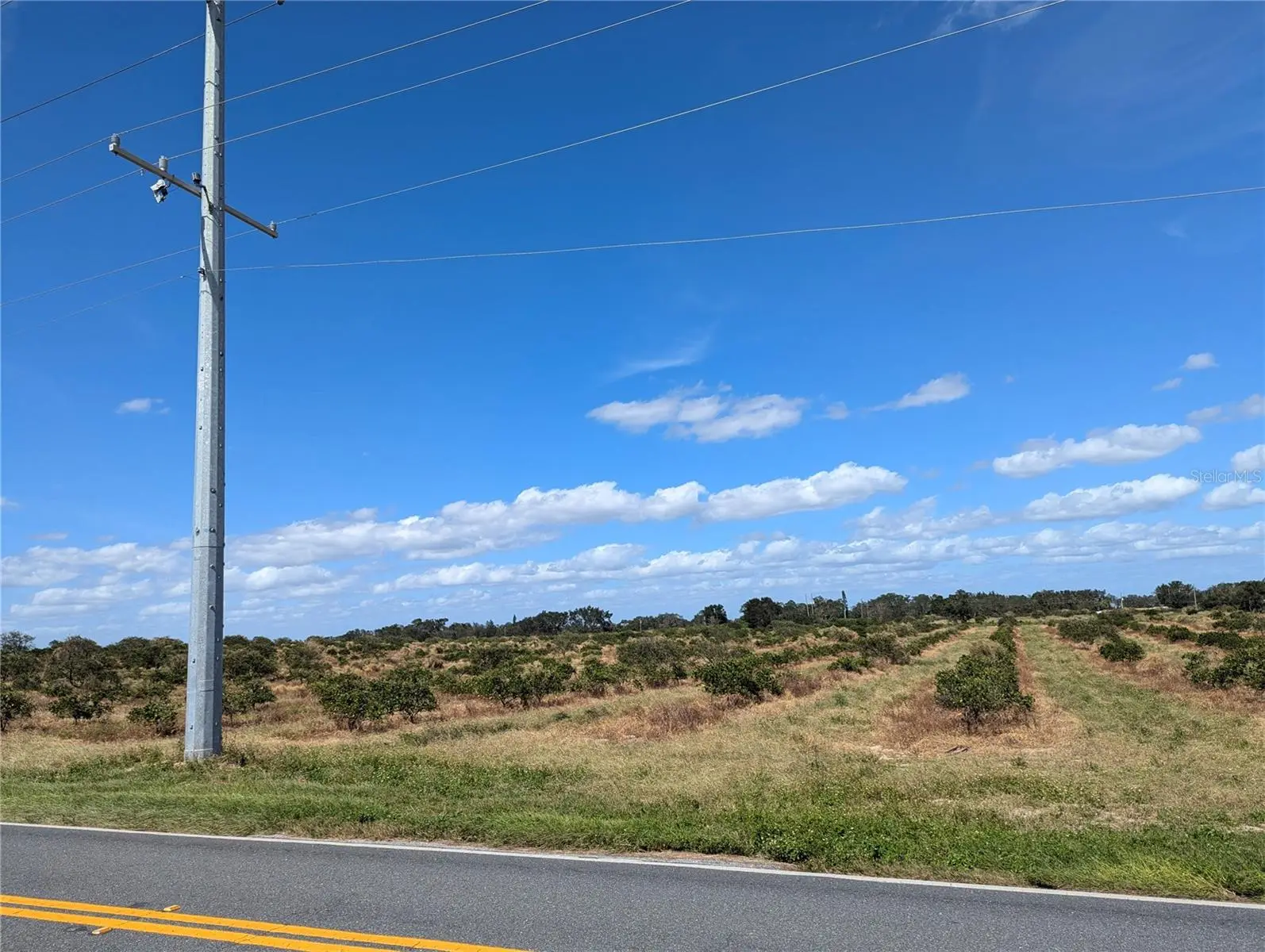 3162 Power Line Road, FL