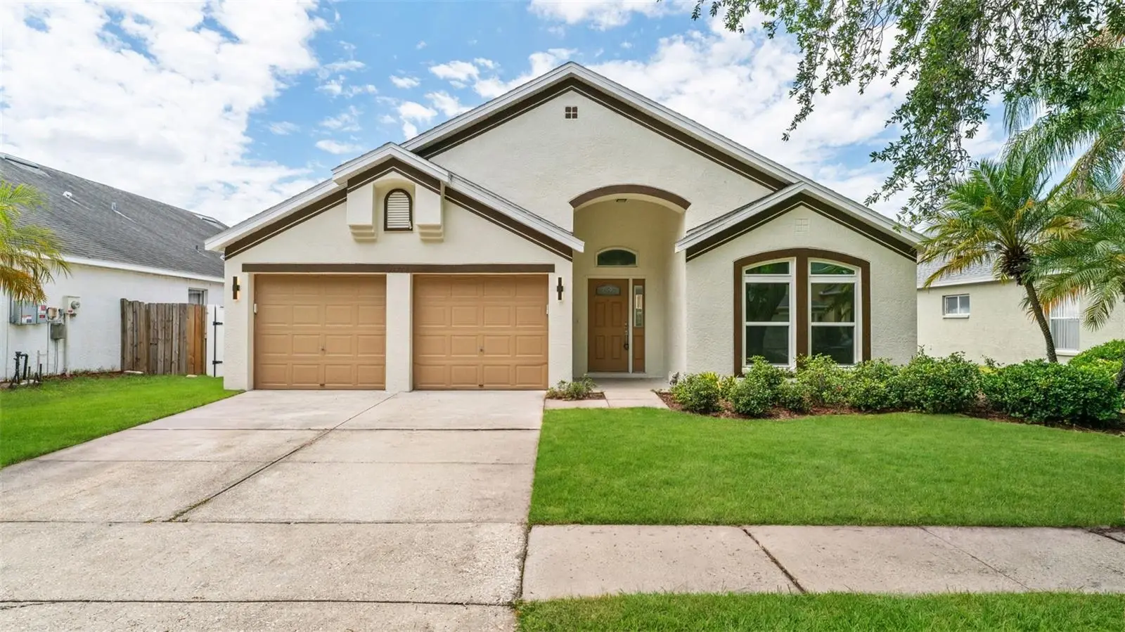 11708 Carrollwood Cove Drive, FL