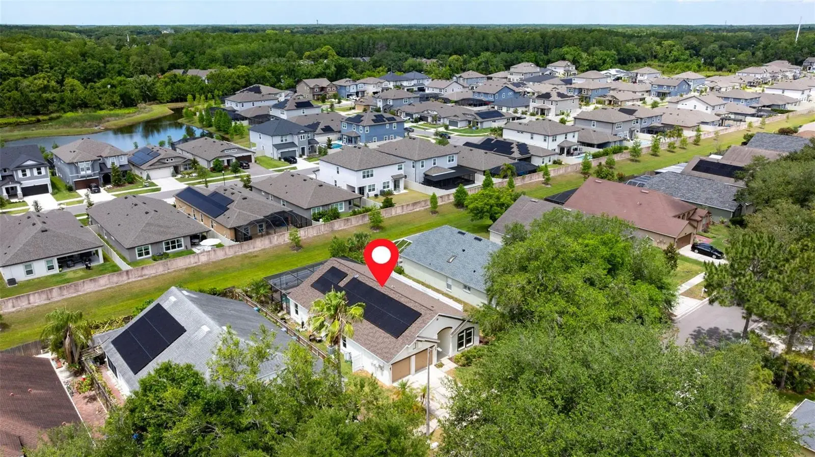 11708 Carrollwood Cove Drive, FL