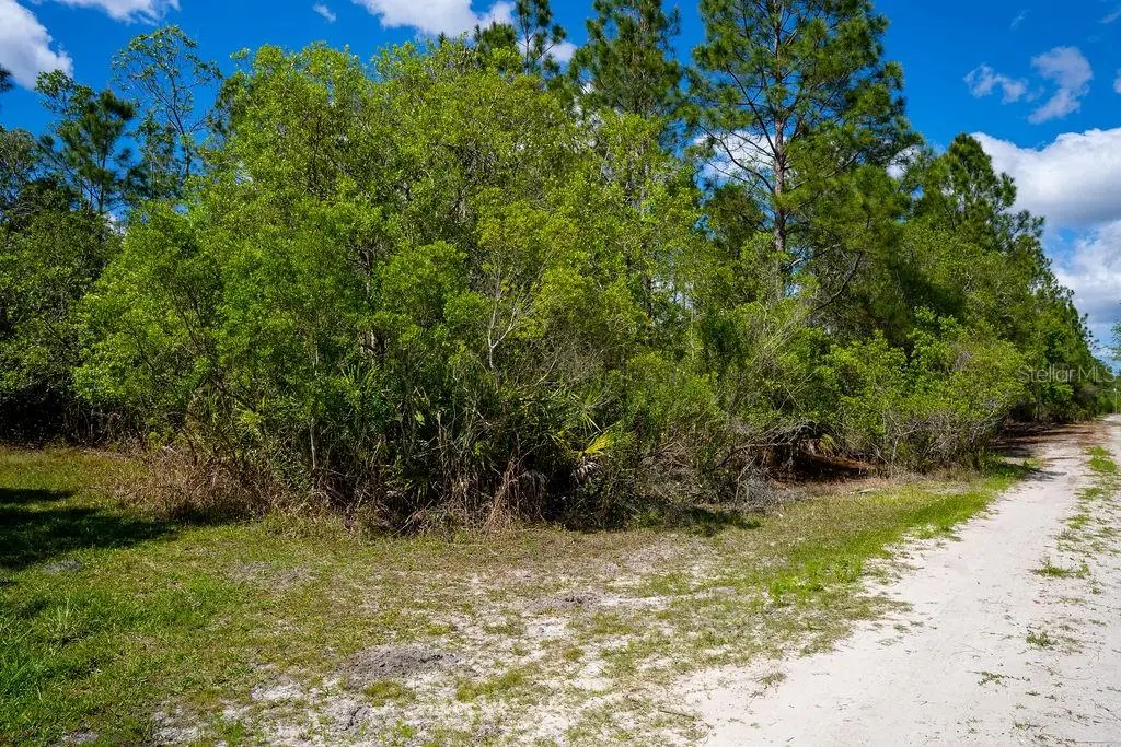 3770 Balsam Court, FL
