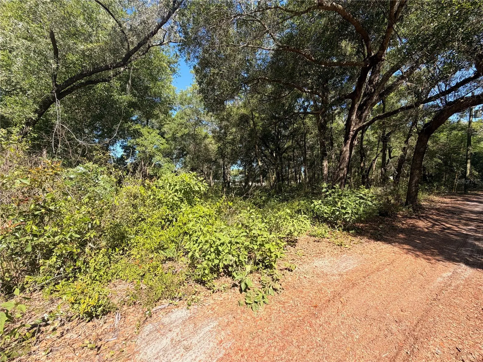 10185 Creekfield Road, FL