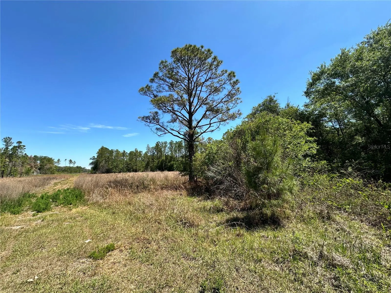 Tbd 128th Lane, FL