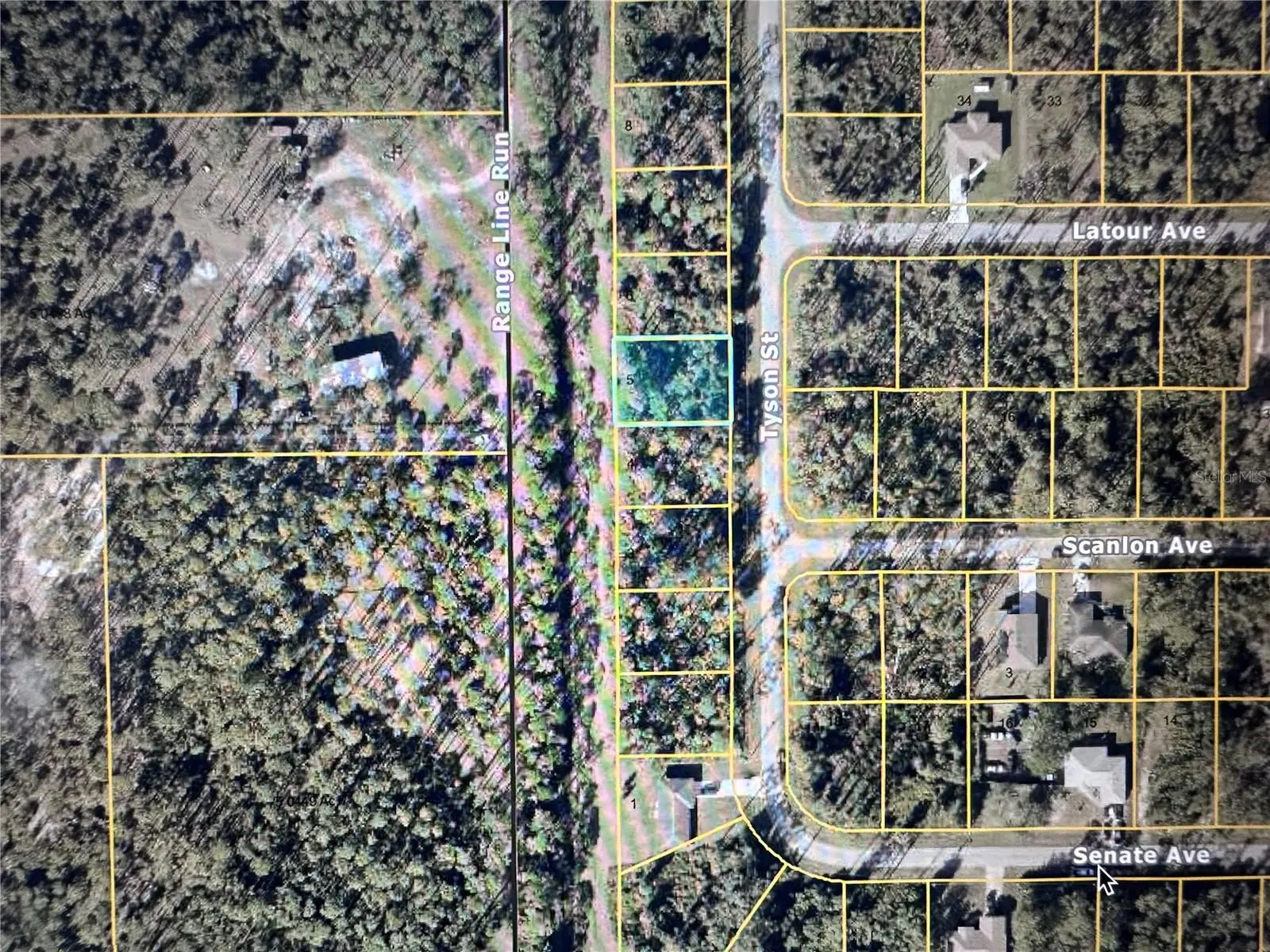 Tyson Street, FL