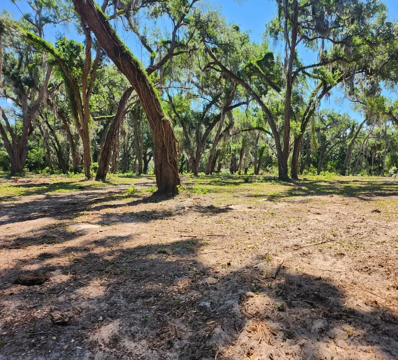 Muck Pond Road, FL