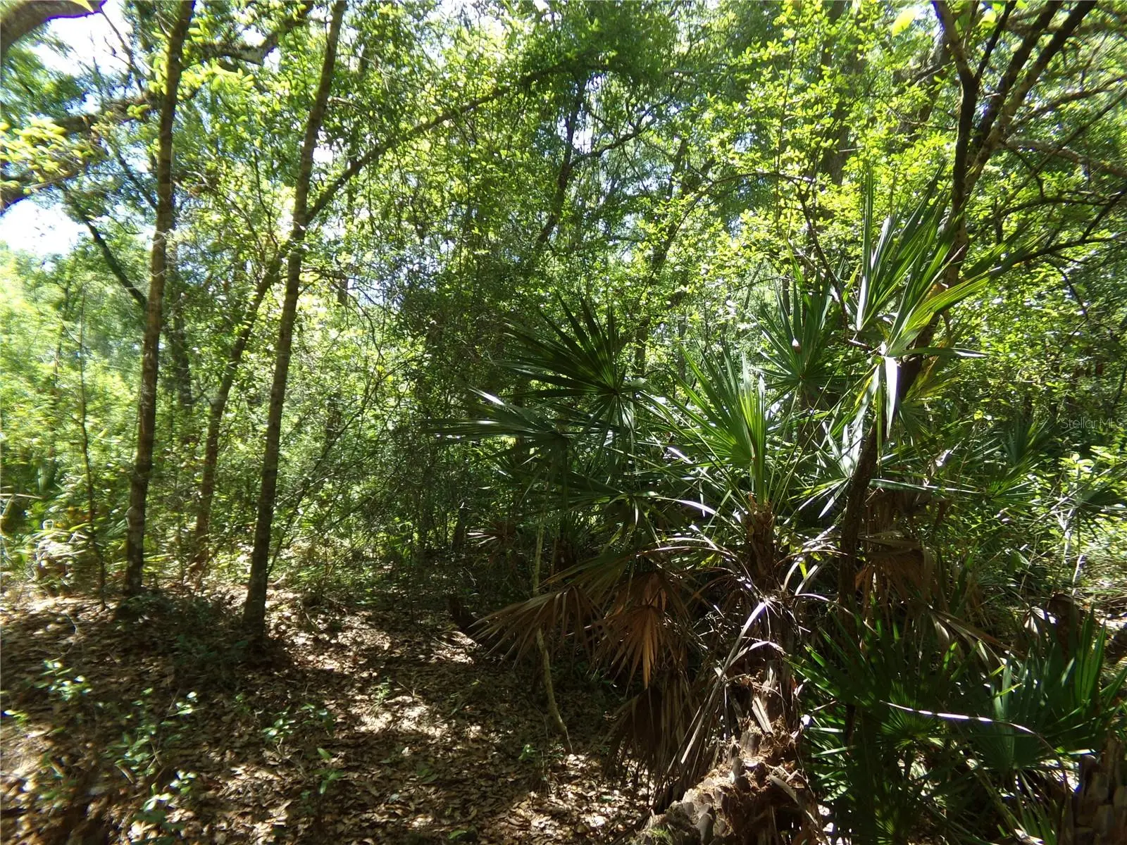 Knoxville Drive, FL