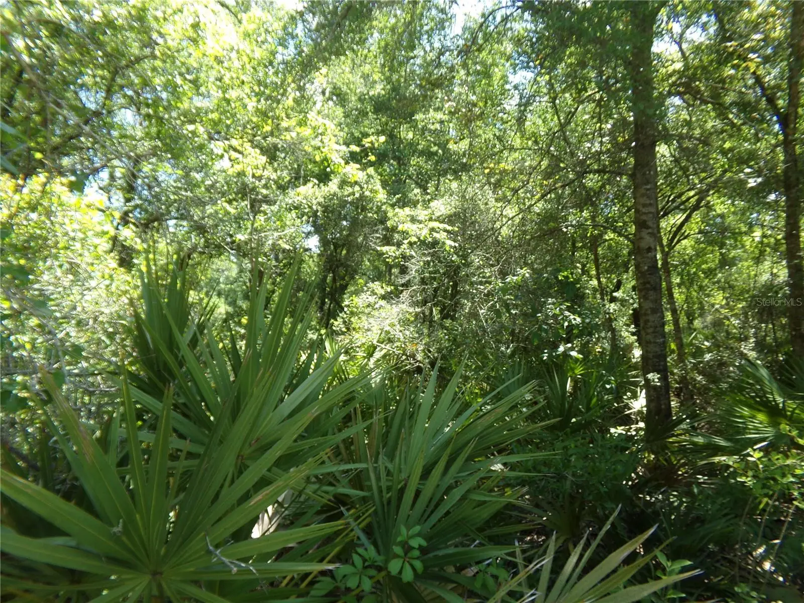 Knoxville Drive, FL