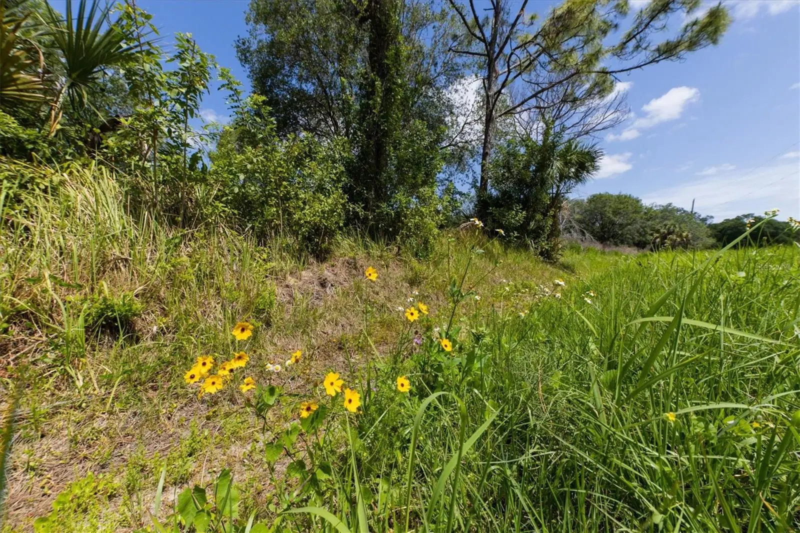 1729 Shenandoah Road, FL