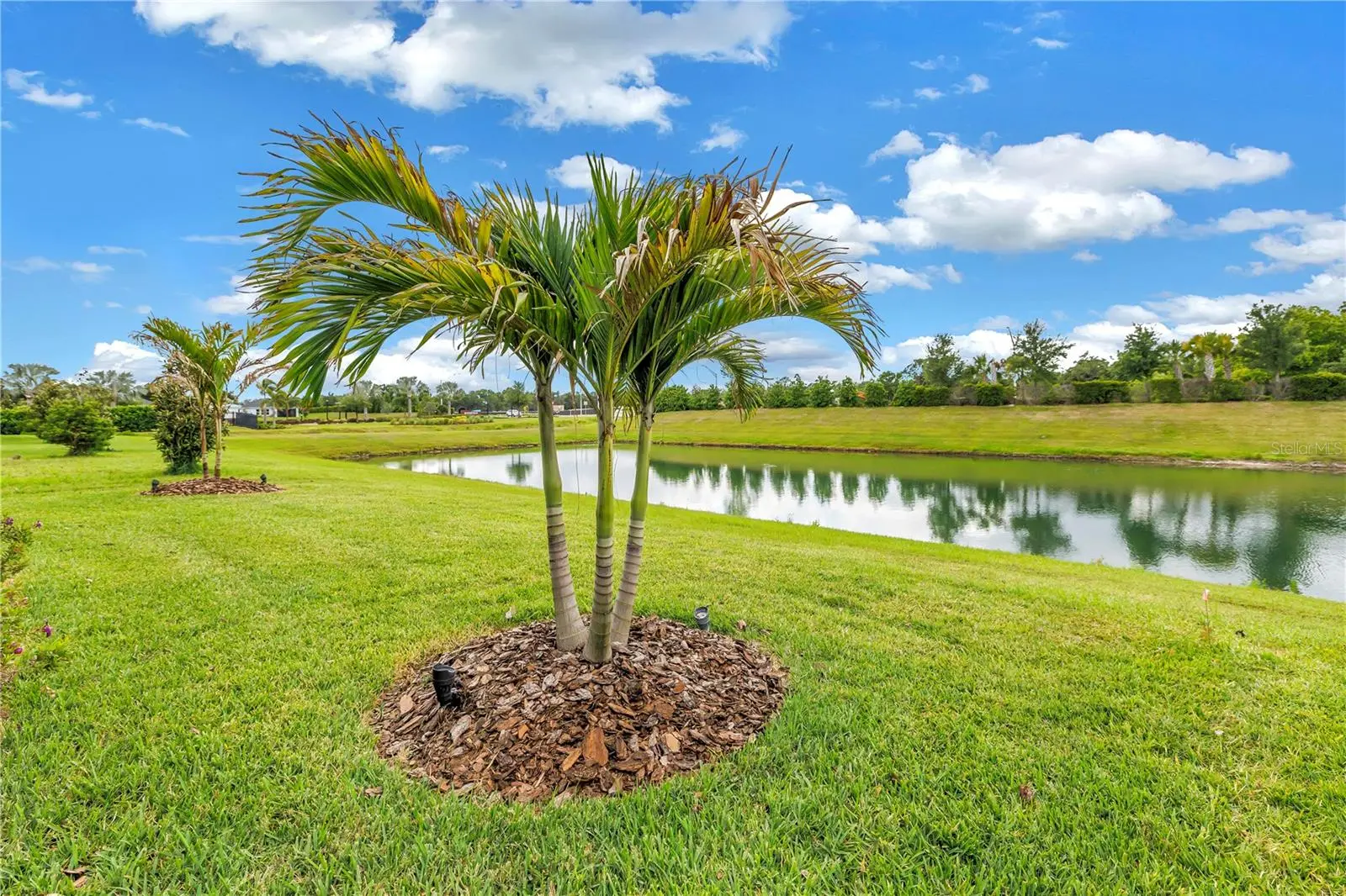 8217 Trimbelle, FL