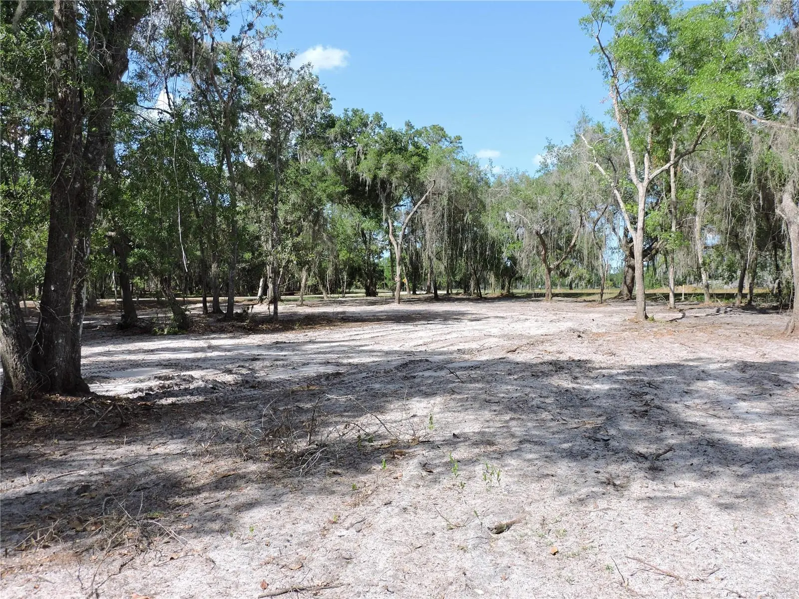 County Road 309, FL