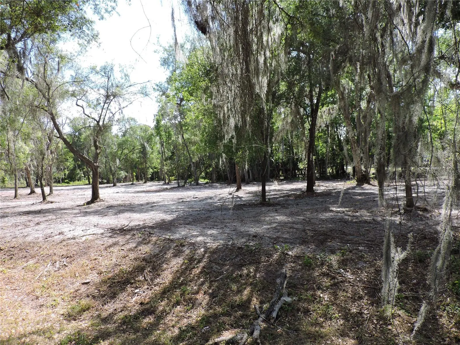 County Road 309, FL