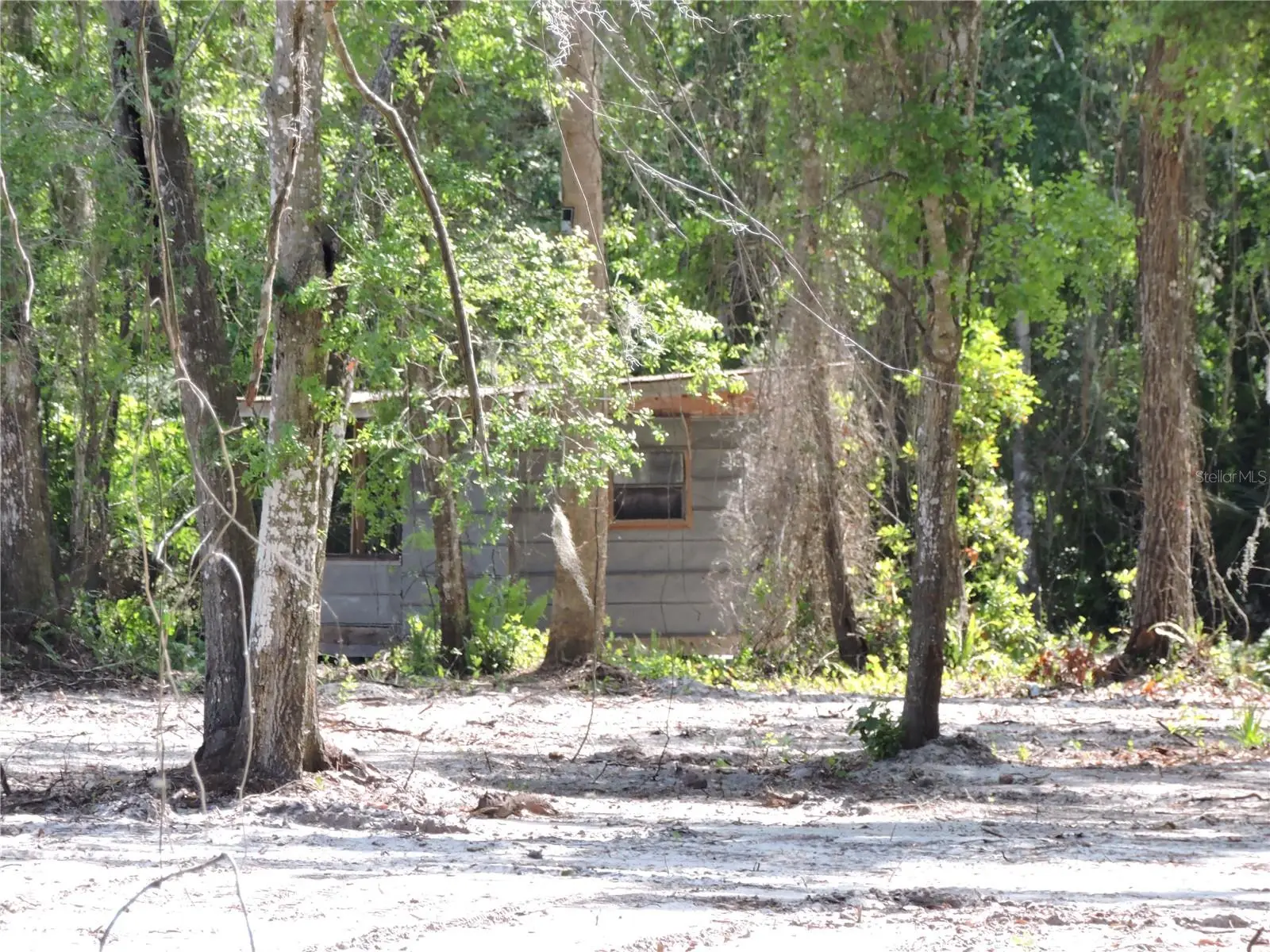 County Road 309, FL
