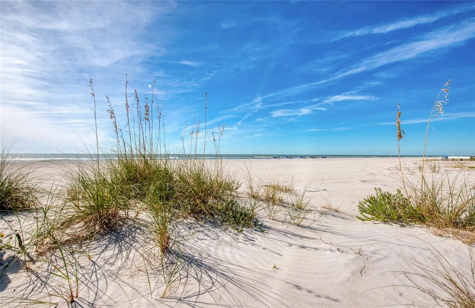 10365 Paradise Boulevard, FL