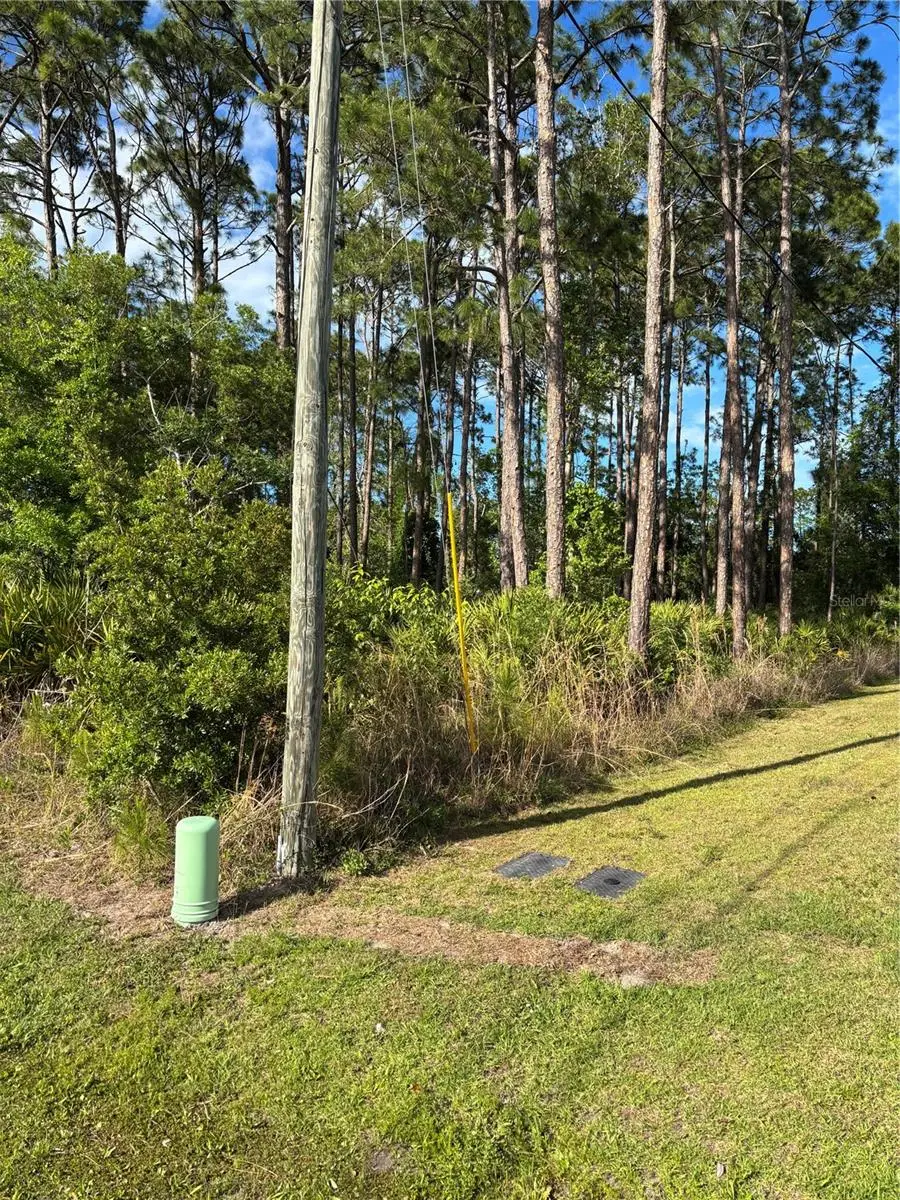 153 Ullian Trail, FL