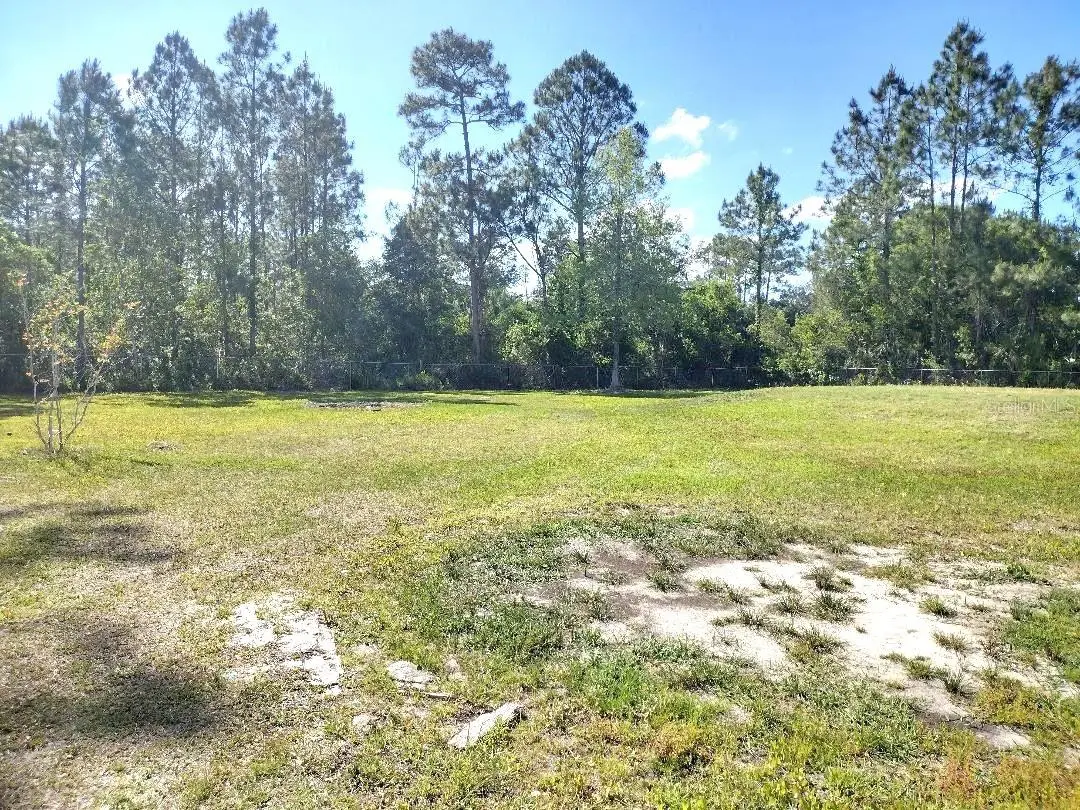 1558 Candleberry Street, FL