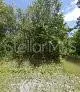 245 Romero Street, FL