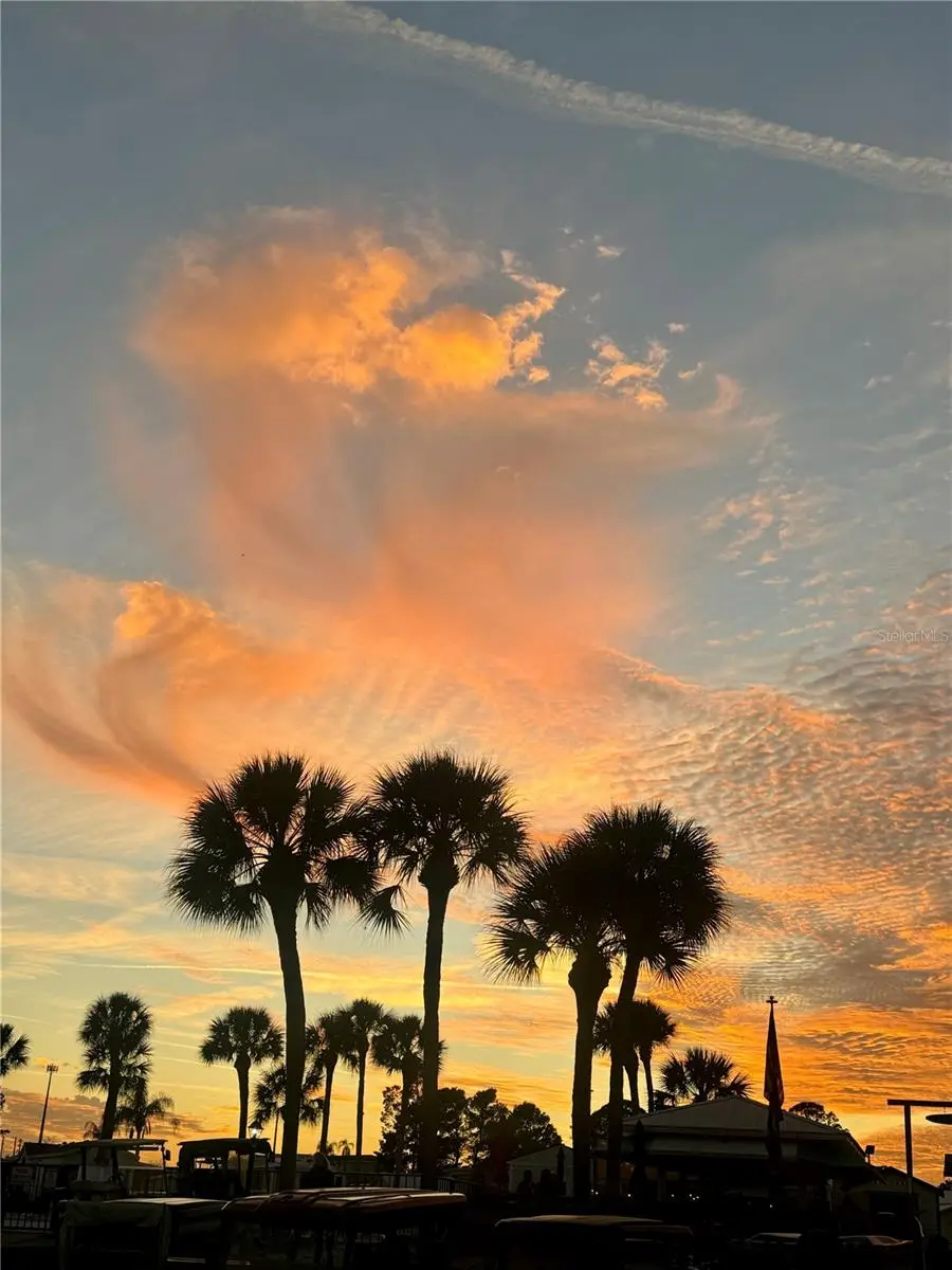 917 St George Drive, FL