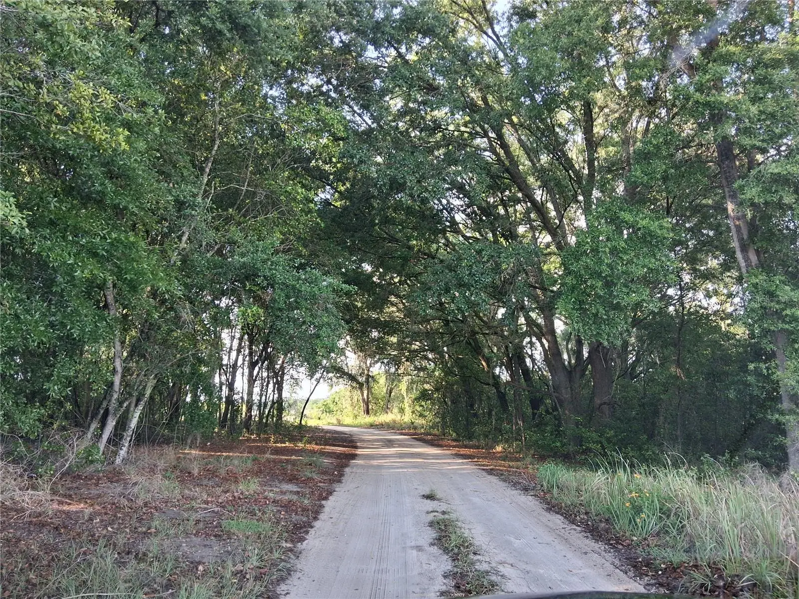 16451 Forrest Lane, FL