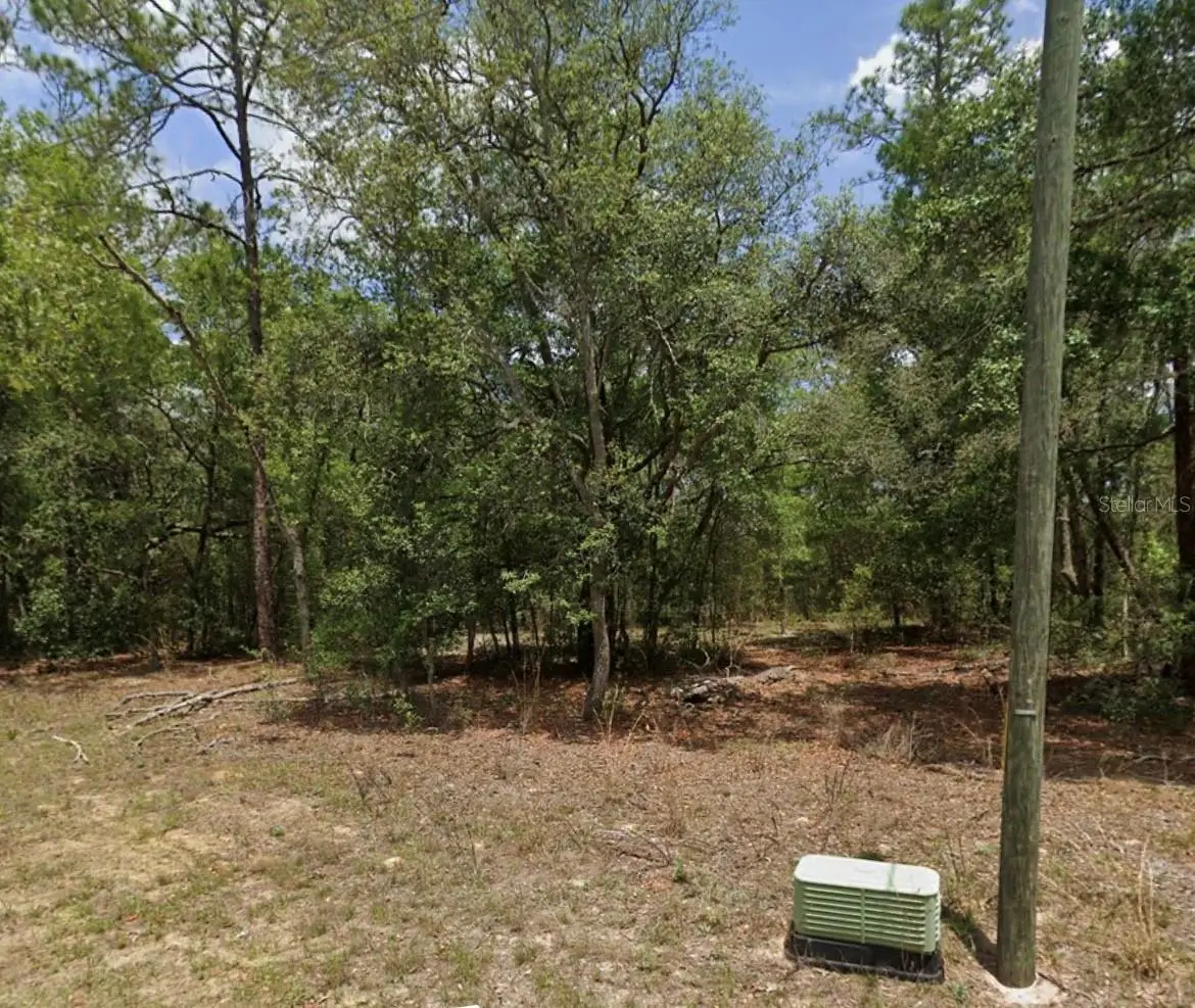11304 Fuego Drive, FL