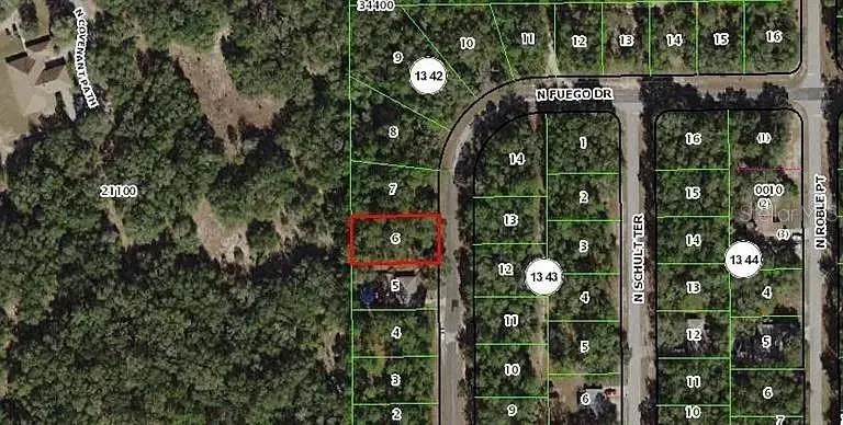 11304 Fuego Drive, FL
