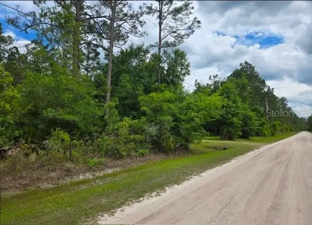 1747 Candleberry Street, FL
