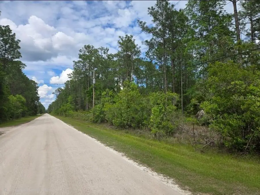 1747 Candleberry Street, FL