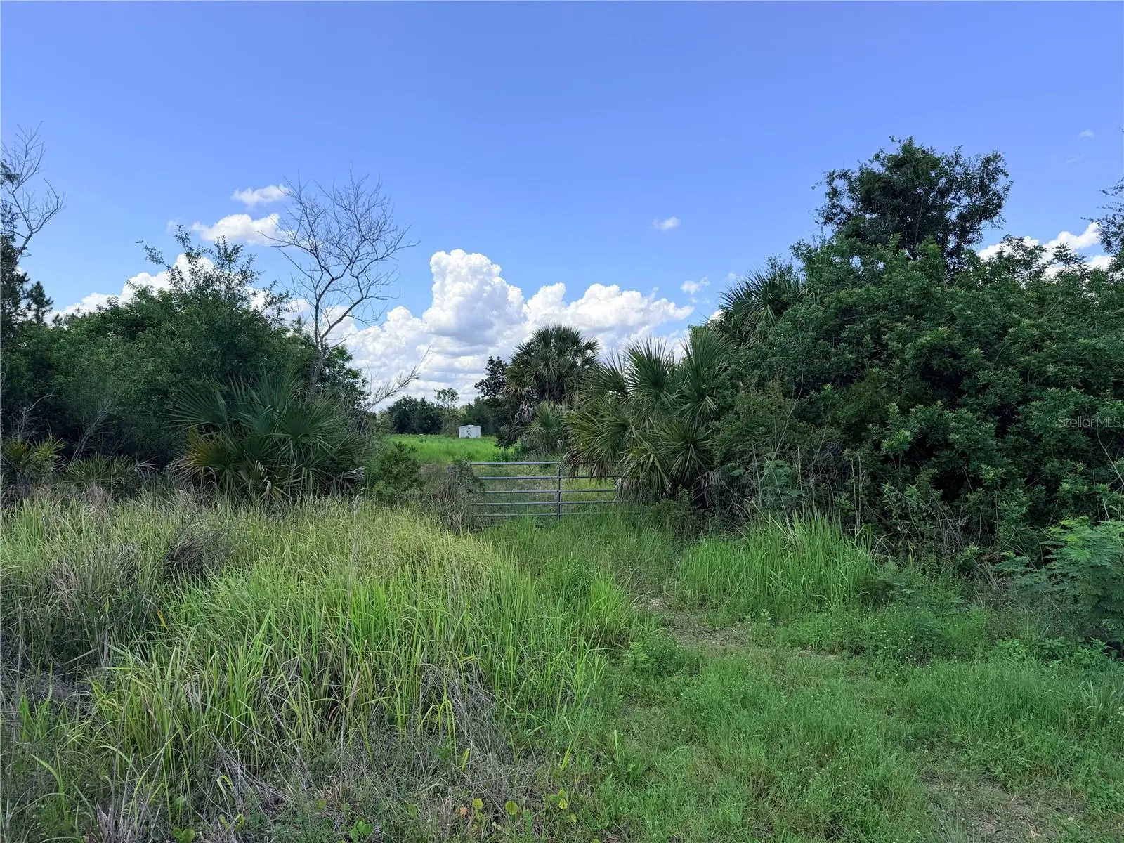 29455 Pine Villa Circle, FL