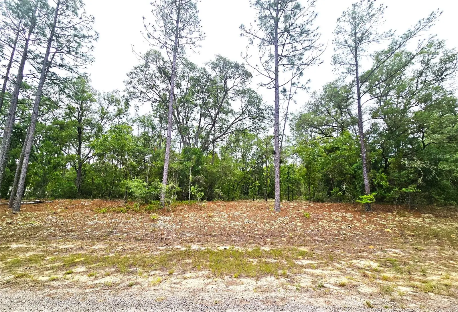 576 Nemo Drive, FL