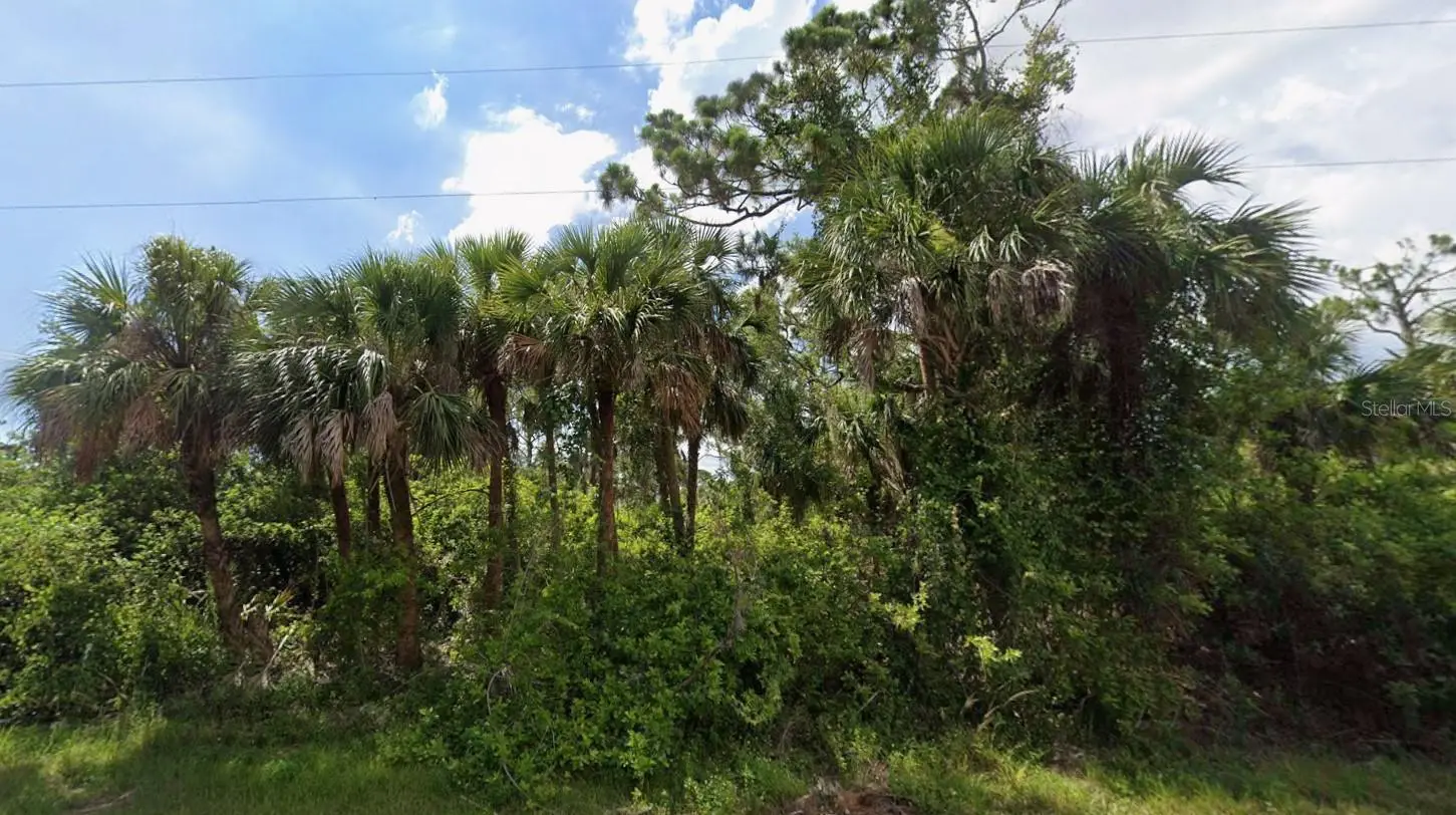 449 Cheshire Street, FL