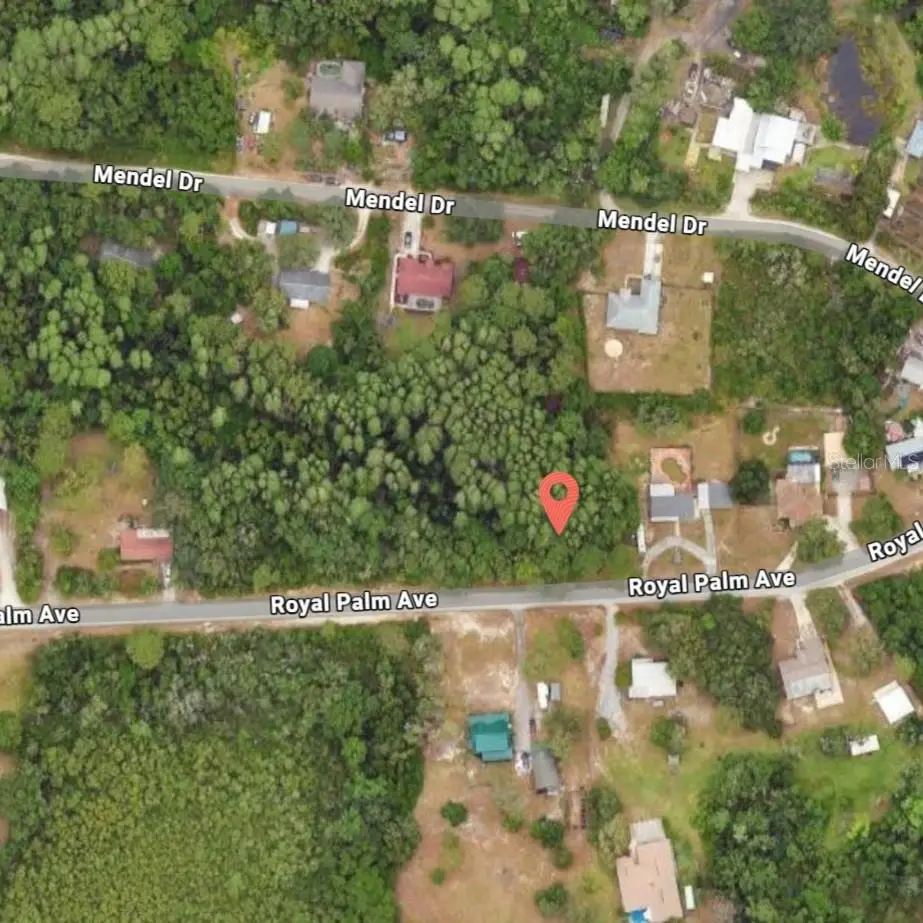 9805 Royal Palm Avenue, FL