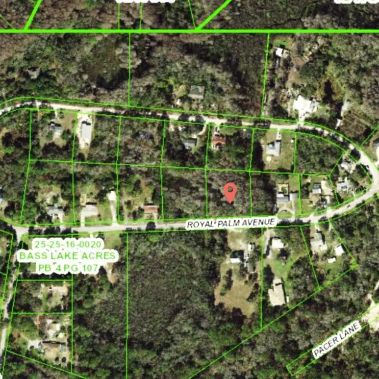 9805 Royal Palm Avenue, FL