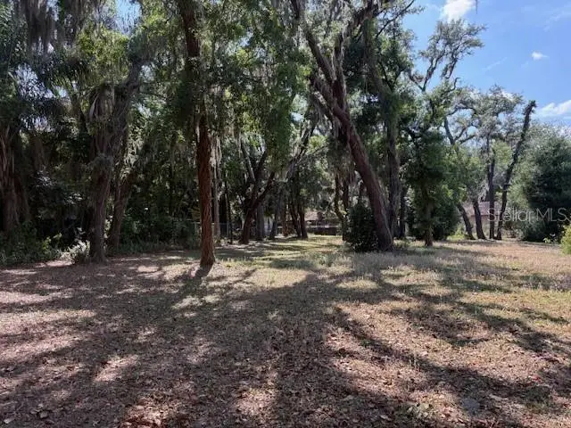 112 Lockmoor Avenue, FL