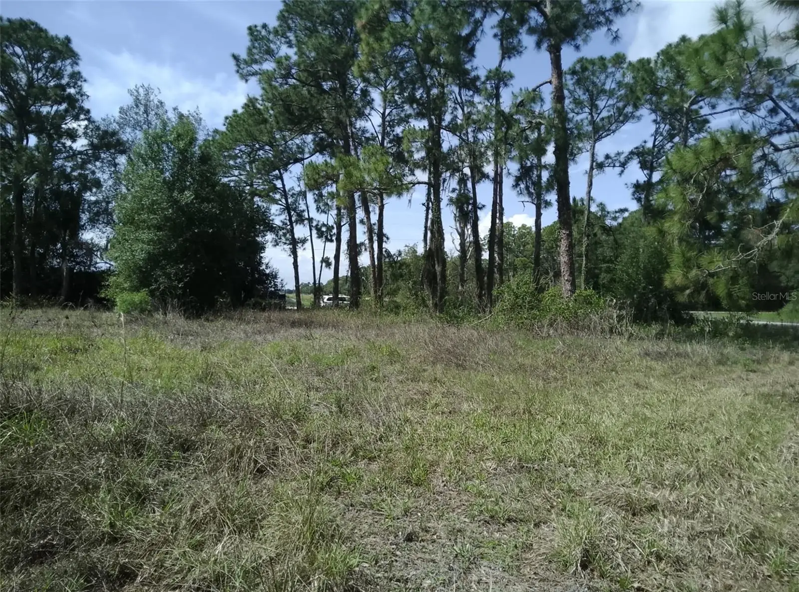 705 Horse Club Avenue, FL