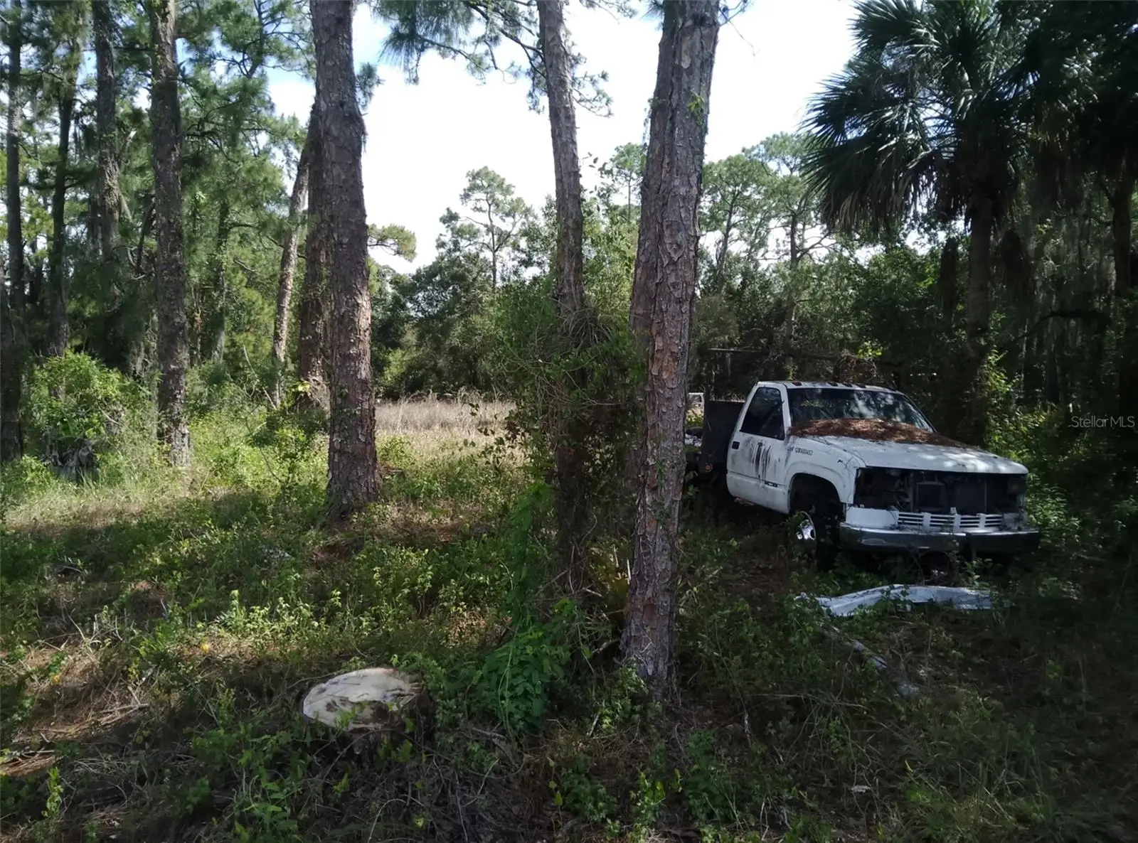 705 Horse Club Avenue, FL